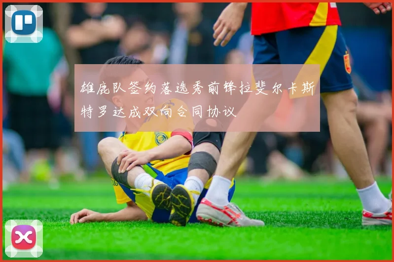 雄鹿队签约落选秀前锋拉斐尔卡斯特罗达成双向合同协议